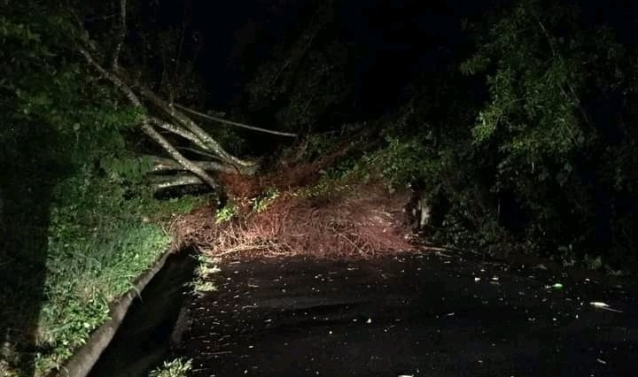 Sistema de Protección Civil se desplaza por todo el territorio ante emergencia por lluvias sistema-de-proteccion-civil-se-desplaza-por-todo-el-territorio-ante-emergencia-por-lluvias